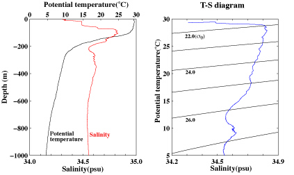 Vertical dist of temperature and saliunity